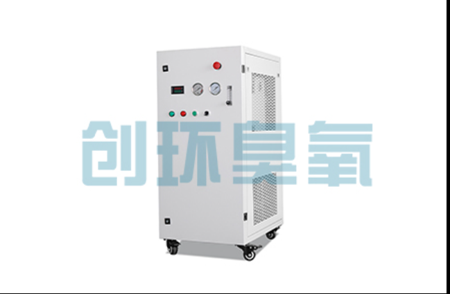 黔南工厂化养鲈必看:2026年臭氧发生器替代传统消毒的最新方案