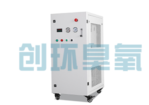 黔南石斑鱼养殖水质调控完整指南:臭氧发生器配置与操作步骤
