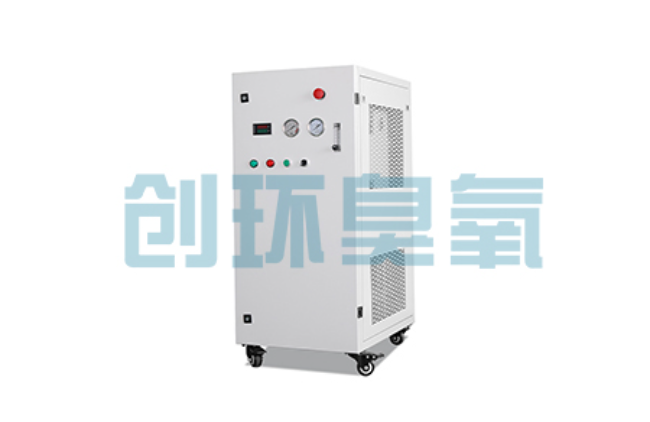 黔南比传统换水更高效?臭氧发生器在石斑鱼养殖中的水质净化原理解析